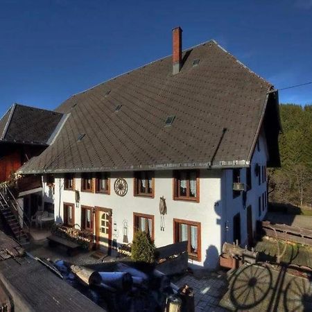 Schwarzwaldhaus Krebs - Villa Kunterbunt, Lenzkirch, Feldberg Extérieur photo